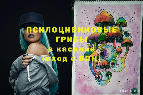 прущая мука Козловка