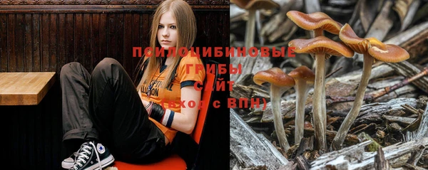 кокс Кодинск