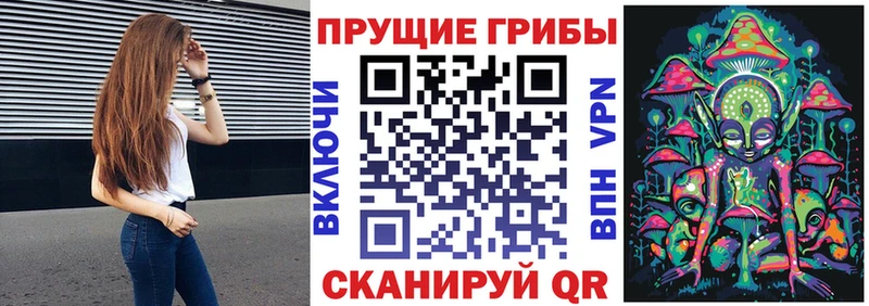 MEGA зеркало где купить наркотик Курган Псилоцибиновые грибы Psilocybe